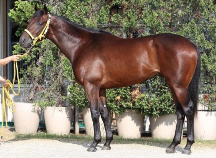 ���ޥ⥤���������μ̿�