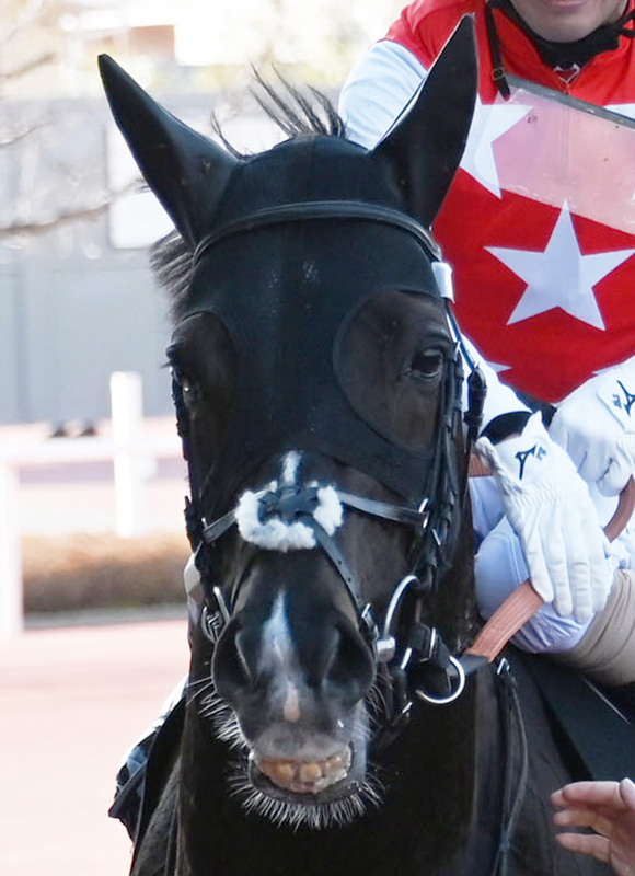 天皇賞(秋)2025特集 | netkeiba 競馬予想・結果・速報・オッズ