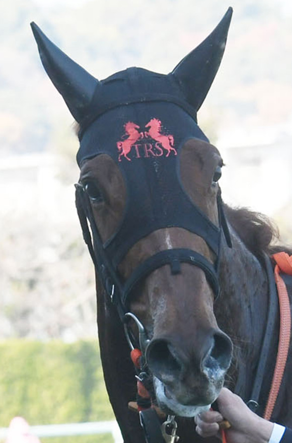 秋華賞2025特集 | netkeiba 競馬予想・結果・速報・オッズ・出馬