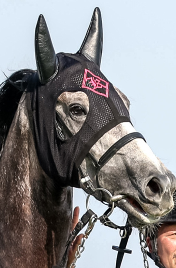 秋華賞馬レッドディザイア❗️現地的中単勝馬券 リバティアイランド 牝馬三冠記念 カード 秋華賞 単勝馬券 現地