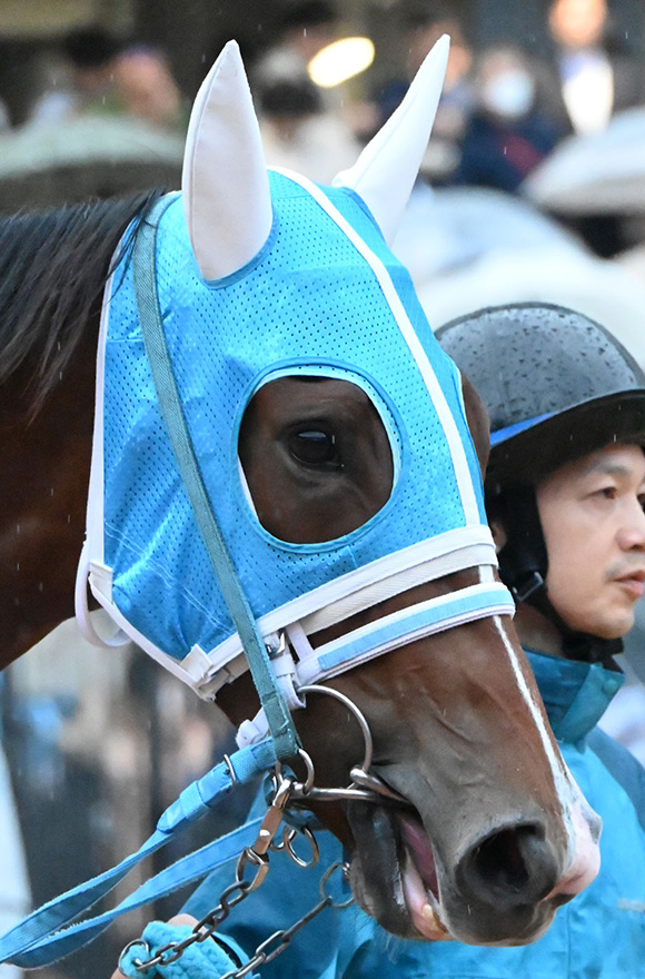 阪神ジュベナイルフィリーズ2025特集 | netkeiba 競馬予想・結果