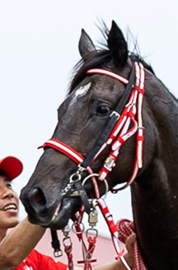 皐月賞2025特集 | netkeiba 競馬予想・結果・速報・オッズ・出馬
