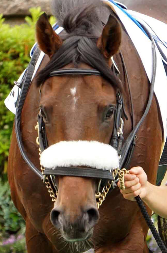 朝日杯フューチュリティステークス2025特集 | netkeiba 競馬予想