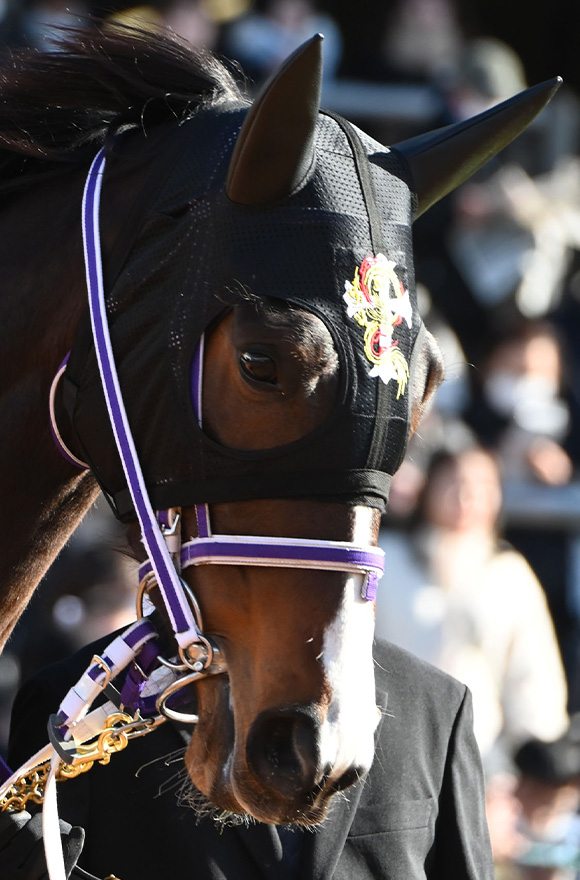 競馬探偵Xの金持ちになれるレース予想 2004年オークス・ダービー