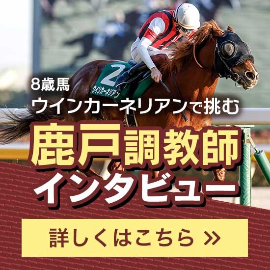 スプリンターズS2025特集 | netkeiba 競馬予想・結果・速報