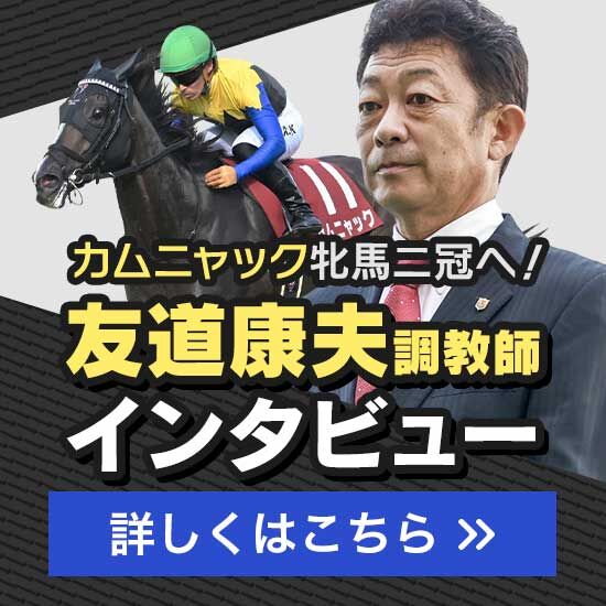 再値下げしました。馬場重臣作南円堂の月 秋月 杉の馬場・桜 | 日本絶景街道を走る！