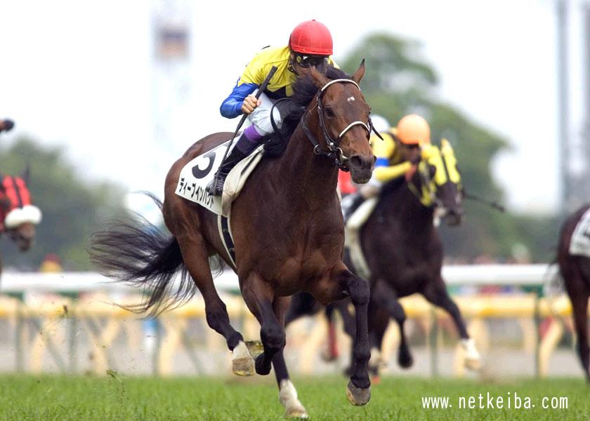 競馬ファンが選ぶ 歴代最強のダービー馬 は 競馬ファンに聞きました Netkeiba Com