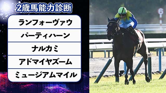 2022年に血統登録されたサラブレッドの父馬一覧 産駒頭数1位はエピファネイア 2位ルヴァンスレーヴ | 競馬まとめ - netkeiba