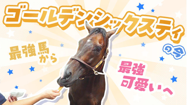  最強から“最強可愛い”へ！名馬ゴールデンシックスティ最新映像