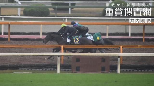 【チャンピオンズC 2022】最終追い切りを動画で解説/井内利彰