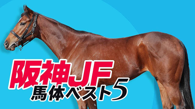 【阪神JF2022予想】「こんな2歳牝馬みたことない」馬体ランキング発表！/北枕鳩三郎