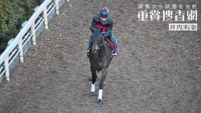 【阪神JF 2022】最終追い切りを動画で解説/井内利彰