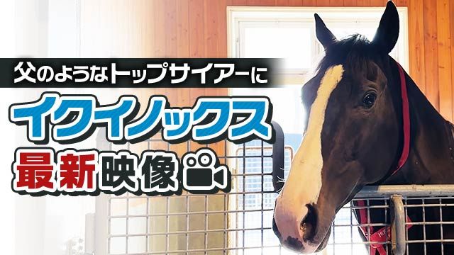 イクイノックスの今を社台スタリオンからお届け！