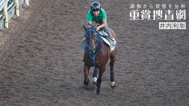 【アイビスSD 2024】最終追い切りを動画で解説/井内利彰