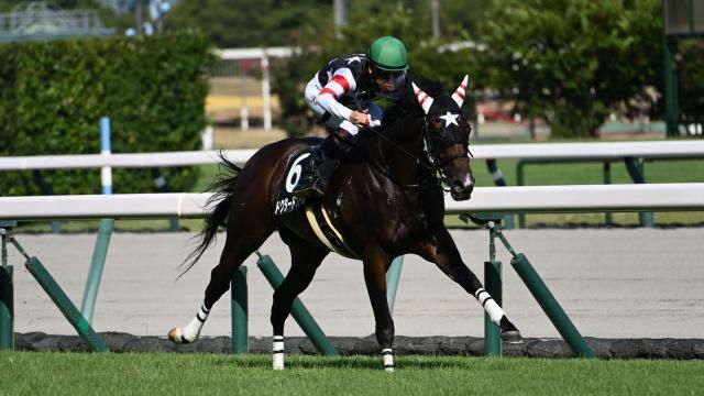 【8/10 関ケ原Sほか】中京ダイジェスト/JRAレース結果