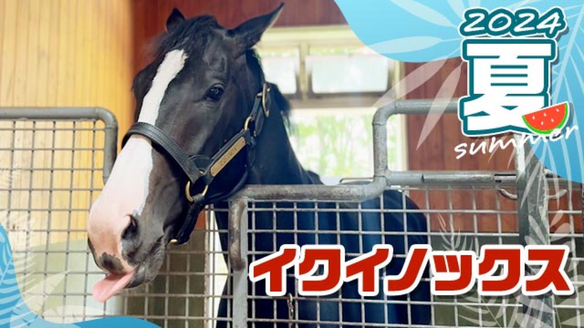 イクイノックスの今 まだまだ現役？馬体も成長中！