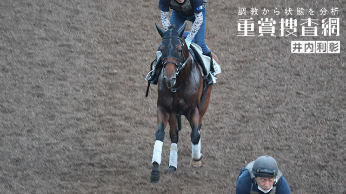 【キーンランドC 2024】最終追い切りを動画で解説/井内利彰