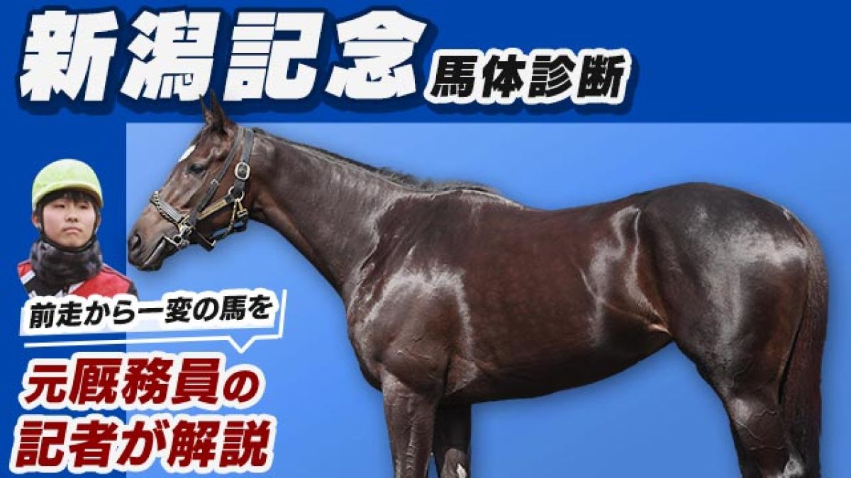 【新潟記念2024予想】今年も波乱含み？鋭い末脚を持つ馬体に注目！推奨3頭をピックアップ/田井秀一