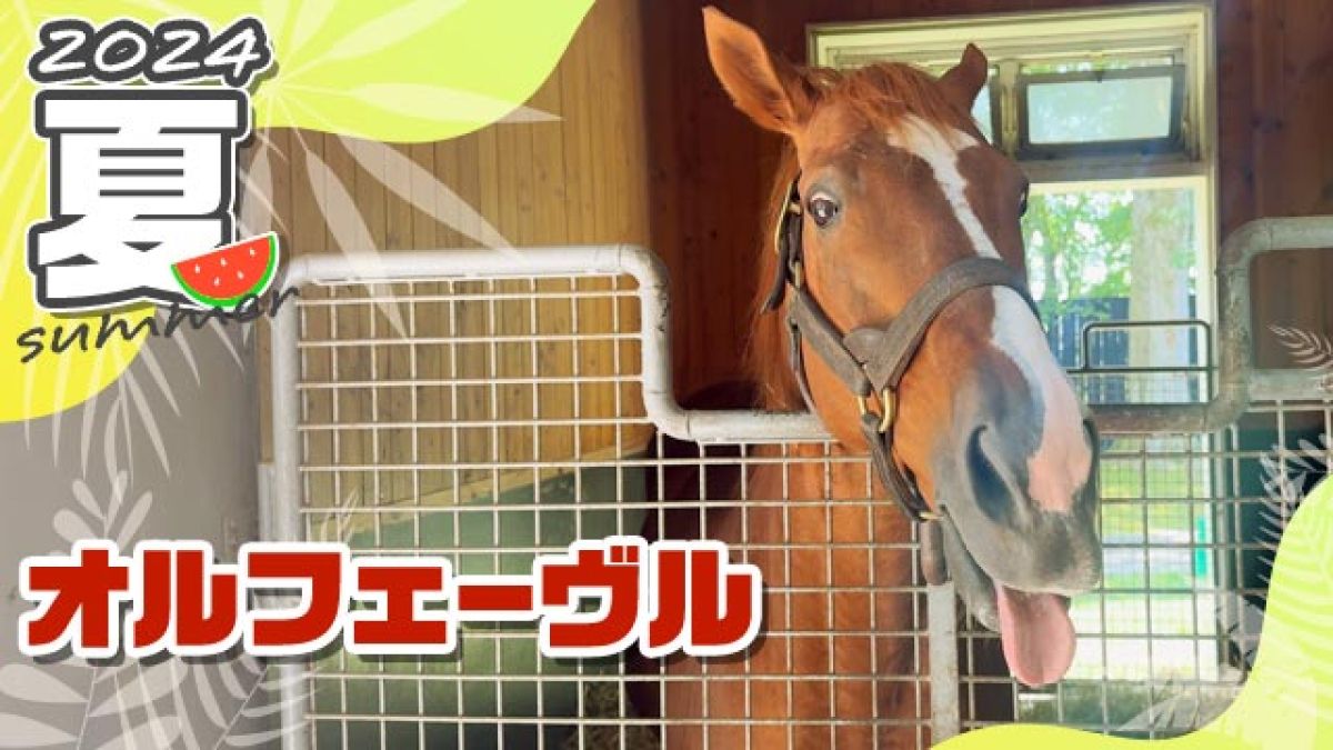 オルフェーヴル 現地的中単勝馬券 メイクデビュー新潟 ブーケドリス メイクデビュー新潟 他場単勝馬券 記念馬券 外れ