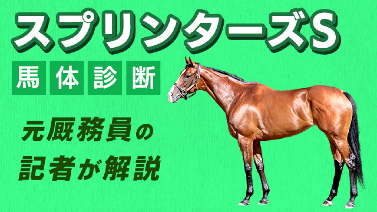 【スプリンターズS2024予想】パワーと機動力を兼ね備えた馬体に注目！3頭をピックアップ！/田井秀一