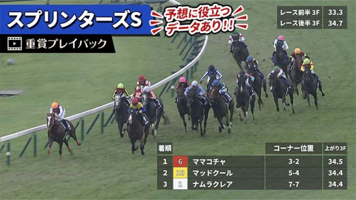 値下げ マイネルラヴ　スプリンターズS的中馬券 m18316582957_1.jpg?1708307188