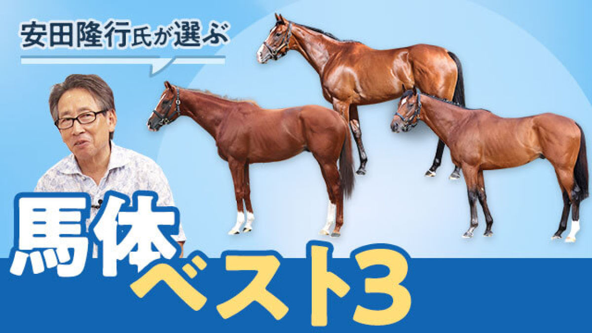 【スプリンターズS2024予想】「惚れ惚れする馬体」安田隆行氏が選ぶ馬体ベスト3