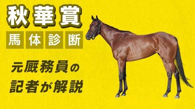 秋華賞2024予想】スケールの大きな馬体に注目！3頭をピックアップ！/田井秀一 | 競馬動画 - netkeiba