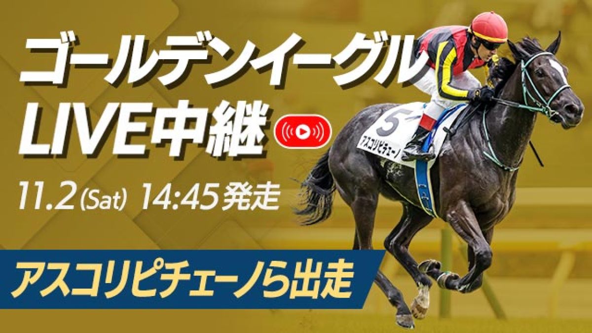 【レース映像】ゴールデンイーグル2024 アスコリピチェーノら出走