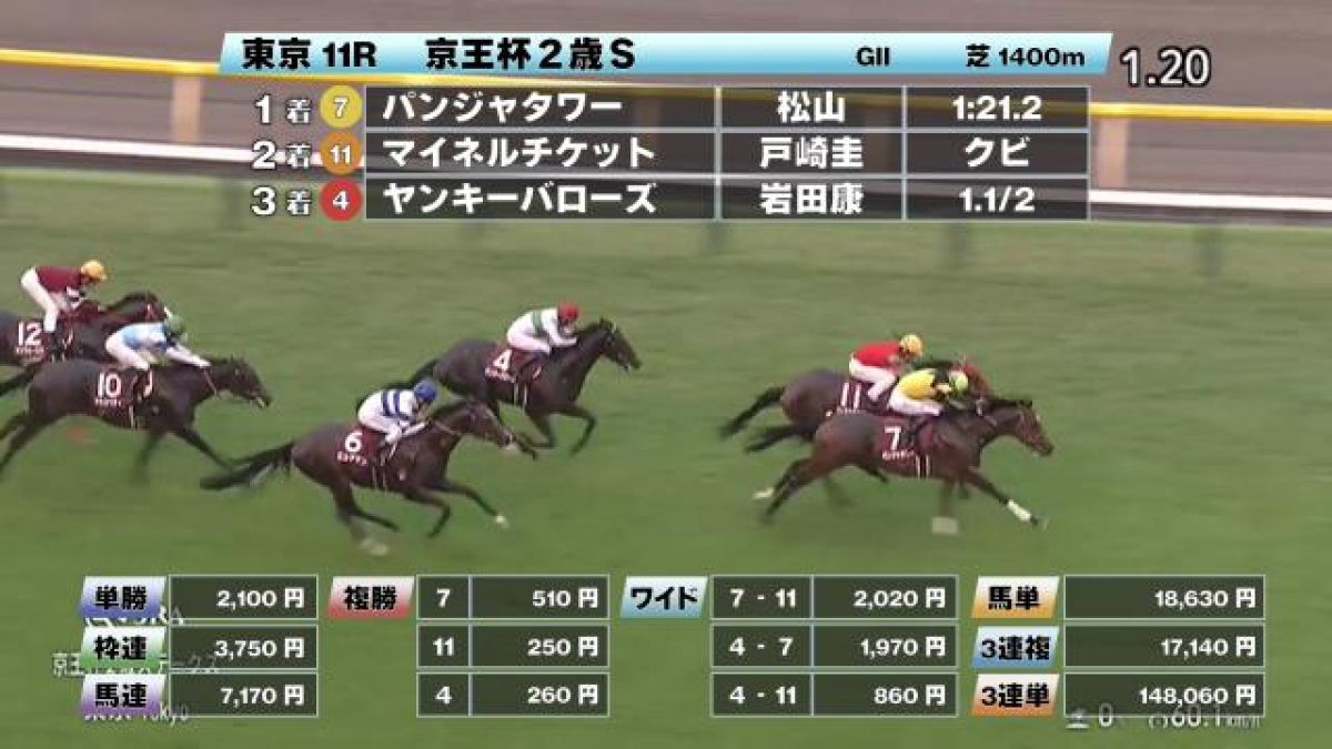 【11/2 京王杯2歳Sほか】東京ダイジェスト/JRAレース結果