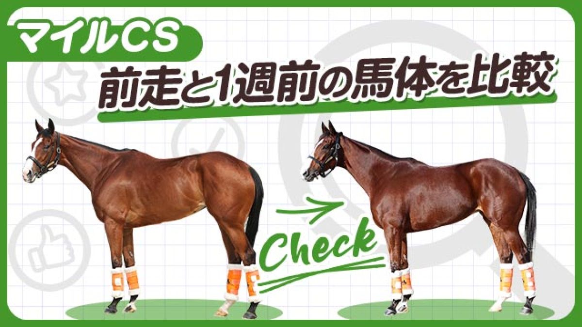 マイルCS2024】ナミュールやエルトンバローズなど注目馬3頭を