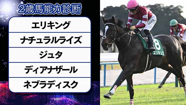 ローズキングダムがヴィクトワールピサ抑える/京都新馬 | 競馬ニュース - netkeiba