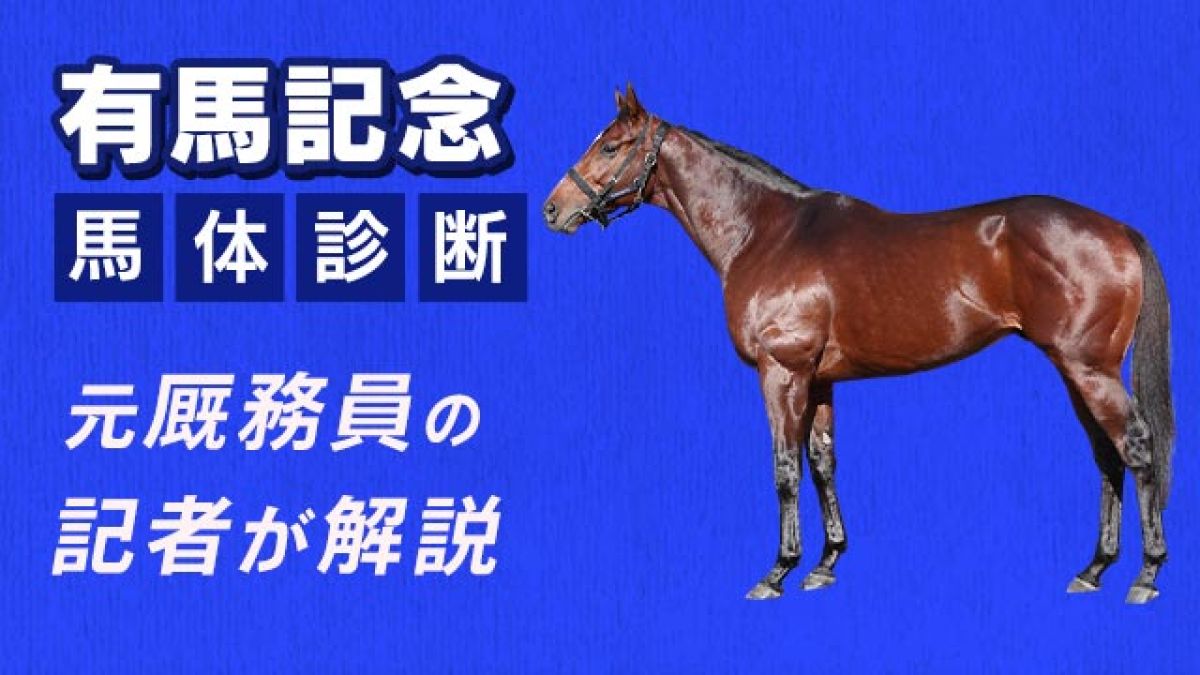 【有馬記念2024予想】ロングスパート戦必至！対応できるスタミナを持つ馬体とは？3頭をピックアップ/田井秀一