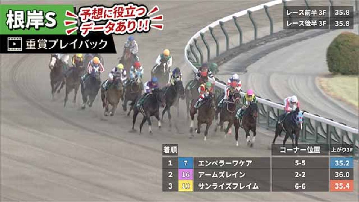 【根岸S 2025】過去5年のレース映像