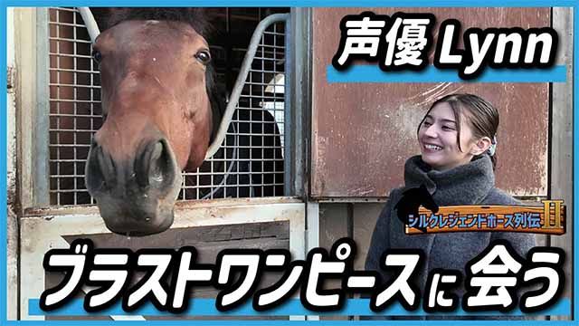 シルクレジェンドホース列伝? ?ブラストワンピース編?【Lynn】