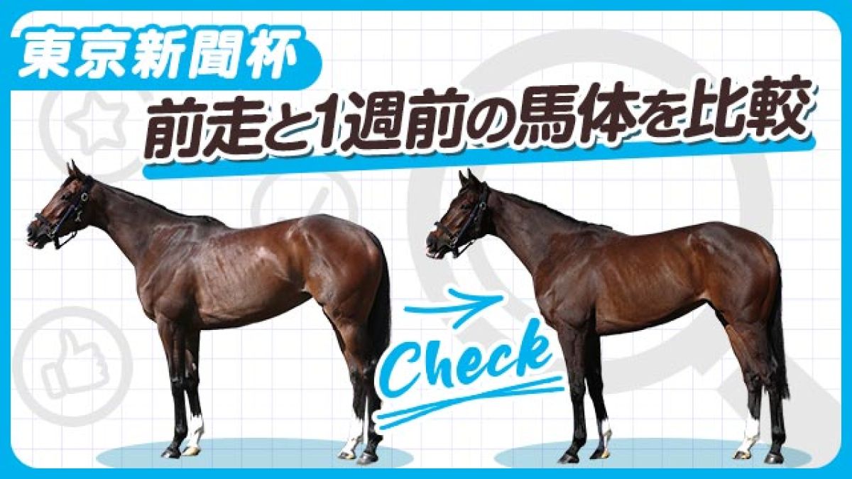【東京新聞杯2025】ブレイディヴェーグやボンドガールなど注目馬3頭をピックアップ！前走と1週前の馬体を比較！