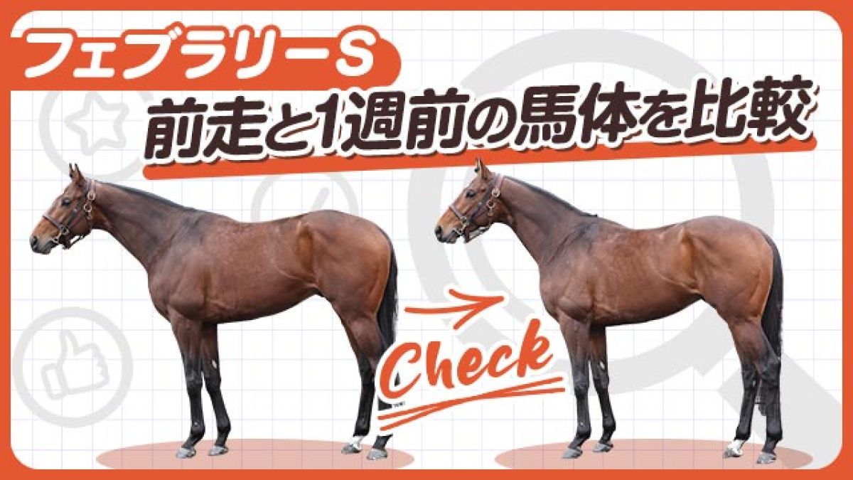 【フェブラリーS2025】ペプチドナイルやサンライズジパングなど注目馬3頭をピックアップ！前走と1週前の馬体を比較！