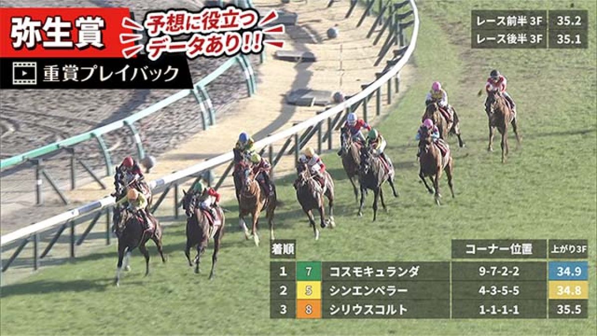 【弥生賞 2025】過去5年のレース映像・傾向