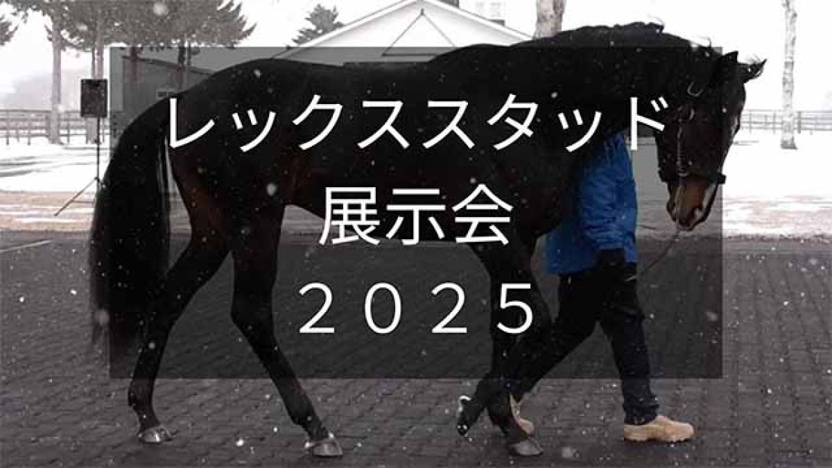【レックススタッド展示会2025】タイトルホルダーやマカヒキなど21頭が登場！