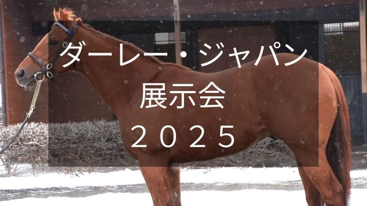 【ダーレー・ジャパン展示会2025】ダートGI・6勝レモンポップなど12頭が登場！