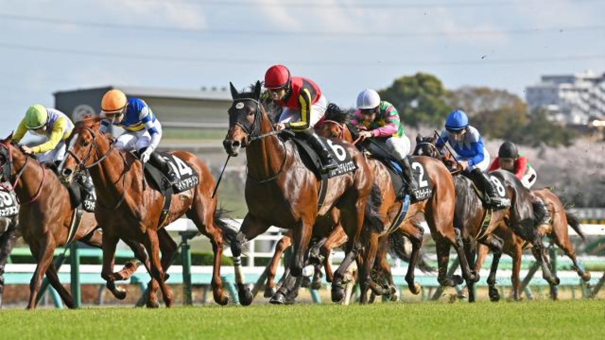 【4/6 美浦Sほか】中山ダイジェスト/JRAレース結果