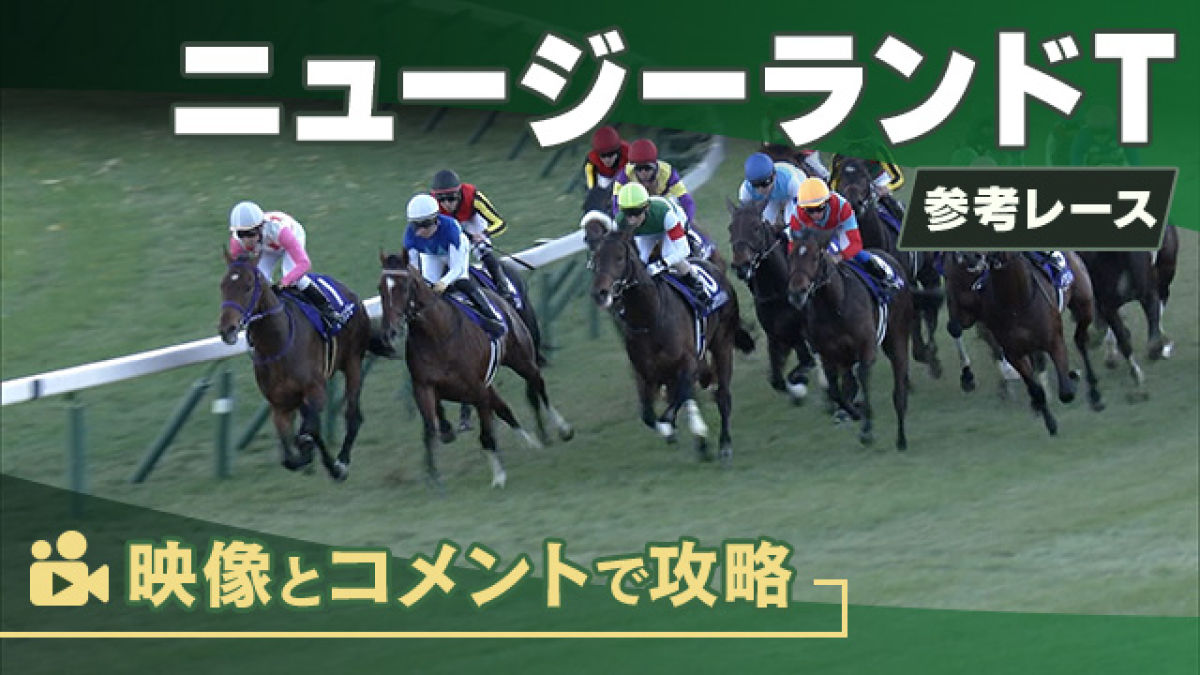 ニュージーランドTGII2025 参考レース