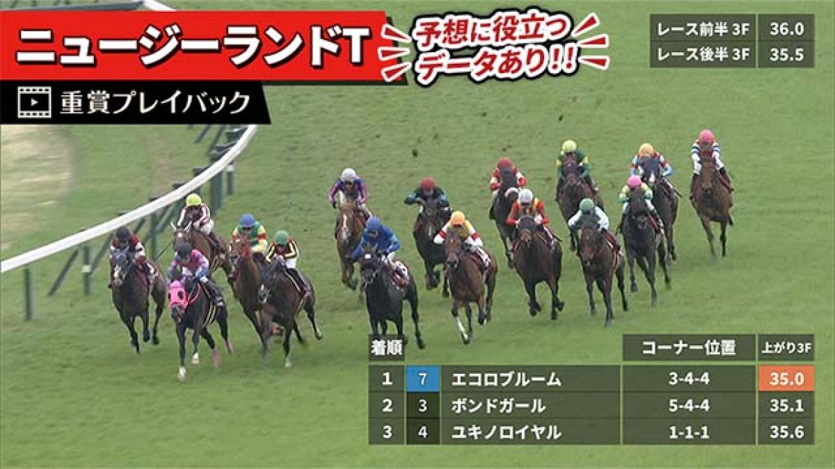 【ニュージーランドT 2025】過去5年のレース映像・傾向
