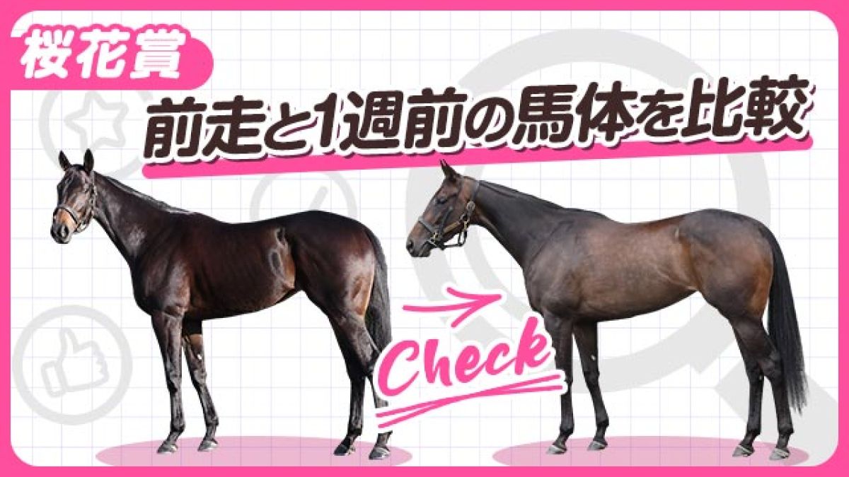 【桜花賞2025】アルマヴェローチェやビップデイジーの前走と1週前の馬体を比較！