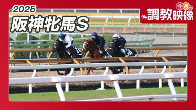 show_photo.php?horse_id=