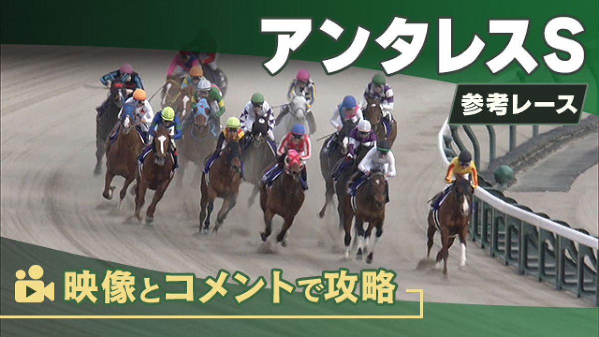 アンタレスSGIII2025 参考レース