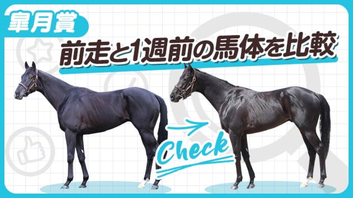 【皐月賞2025】クロワデュノールやサトノシャイニングらの前走と1週前の馬体を比較！