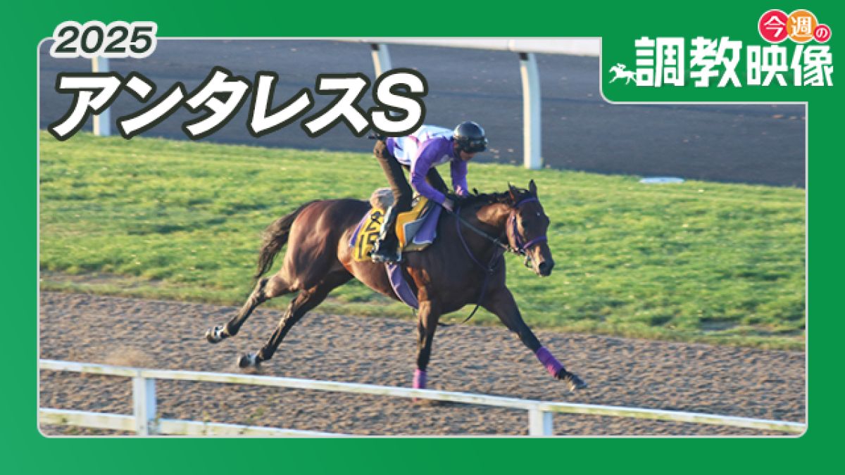 【アンタレスS 2025】調教映像
