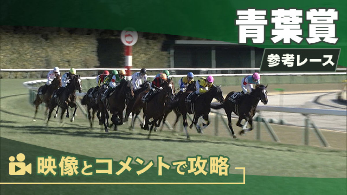 青葉賞GII2025 参考レース