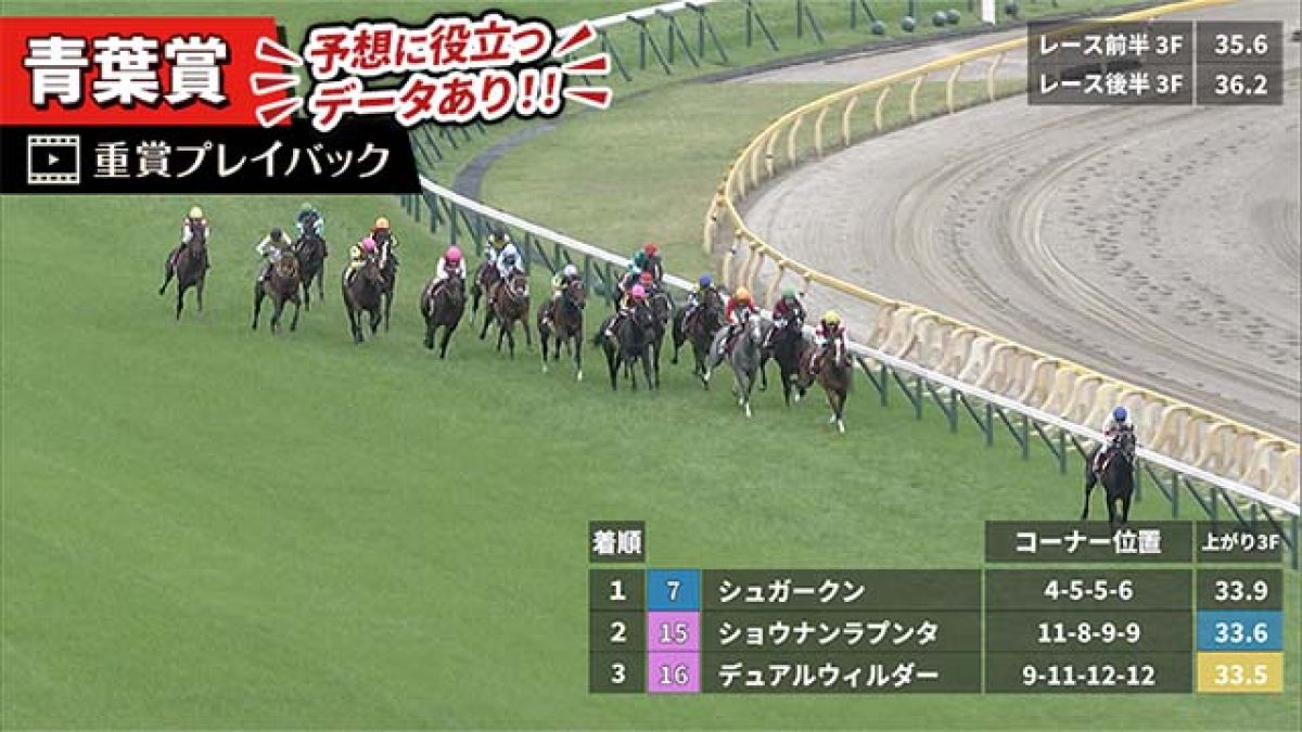 【青葉賞 2025】過去5年のレース映像・傾向