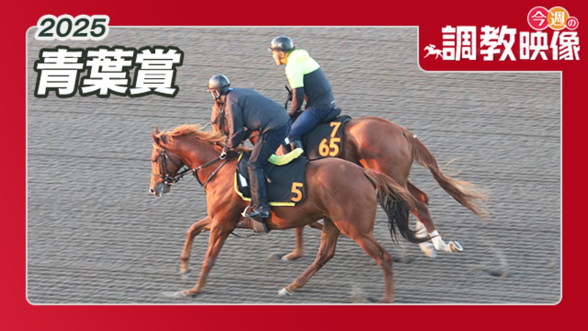 【青葉賞 2025】調教映像